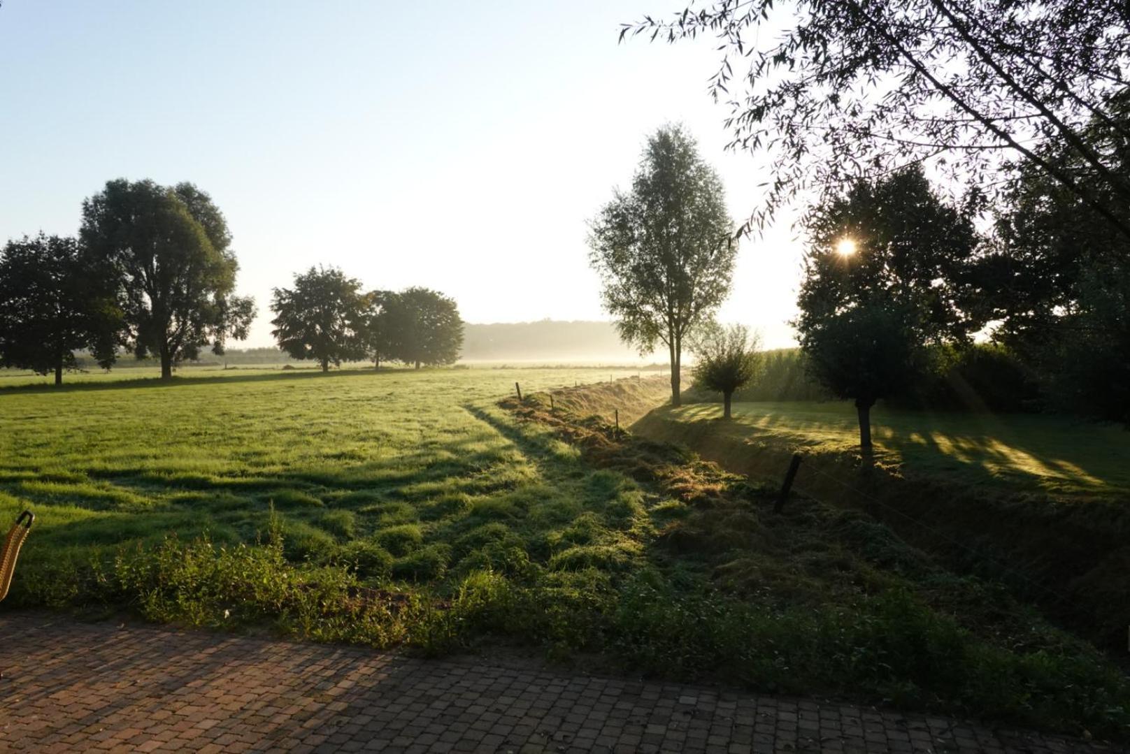 De Knotwilg Vila Loon op Zand Exterior foto